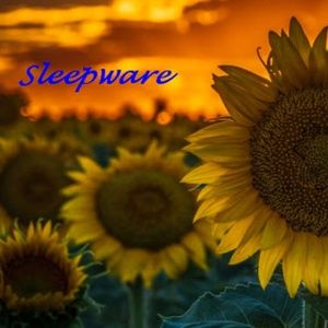 Sleepware